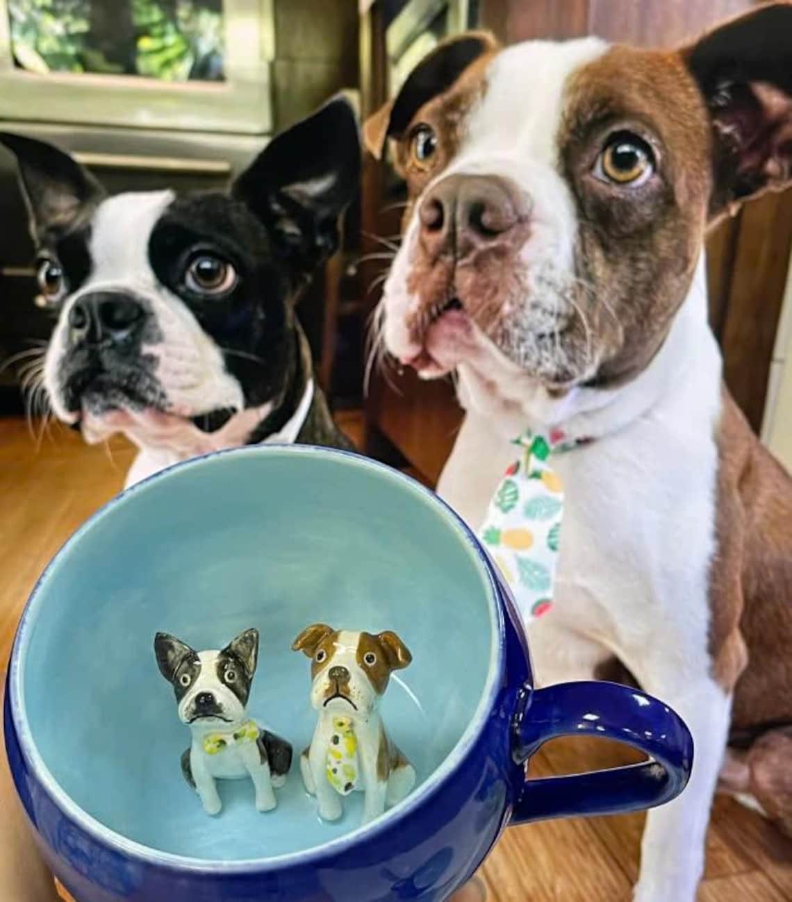 Personalized Pet Figure Mug Birthday Valentines Anniversary Gift for Pet Lovers