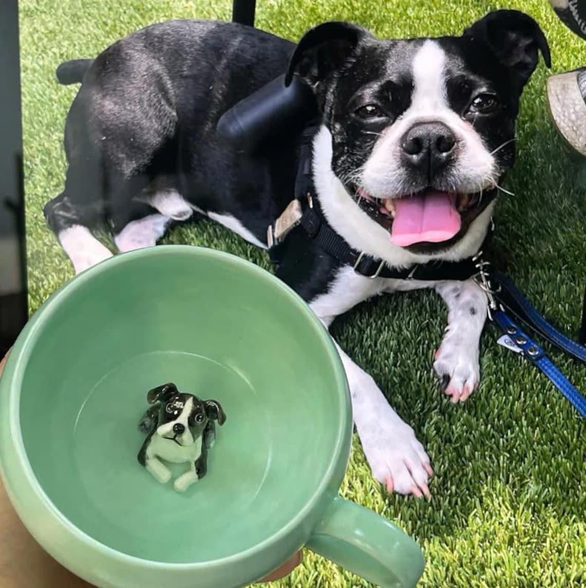 Personalized Pet Figure Mug Birthday Valentines Anniversary Gift for Pet Lovers
