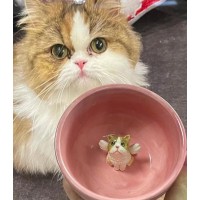 Personalized Pet Portrait Mug Birthday Valentines Anniversary Gift for Pet Lovers