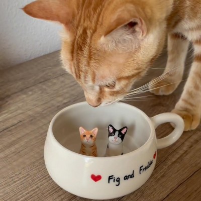 Personalized Pet Figure Mug Birthday Valentines Anniversary Gift for Pet Lovers